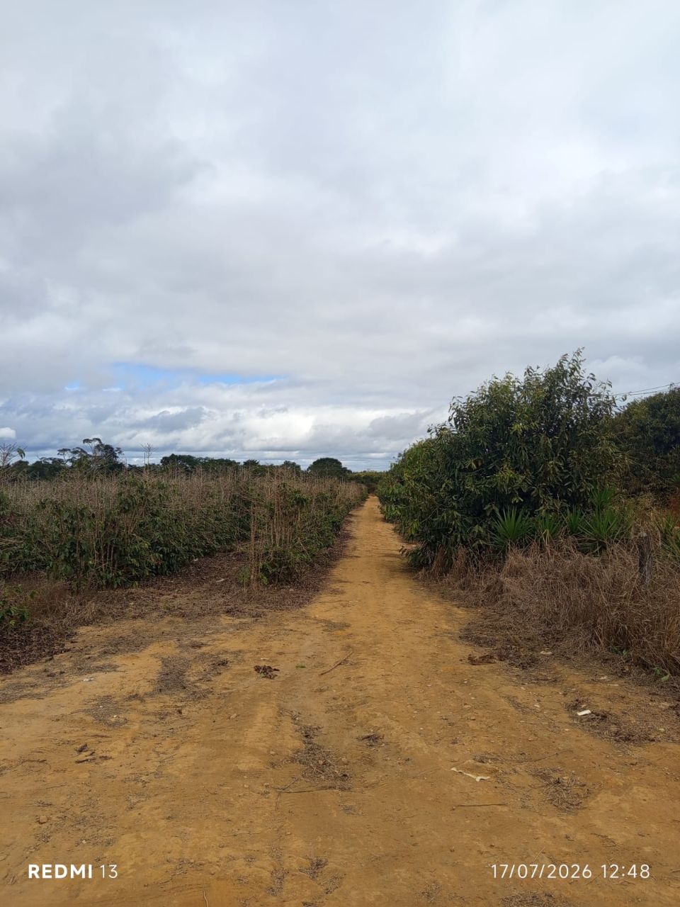 Chácaras Canaã - foto 2